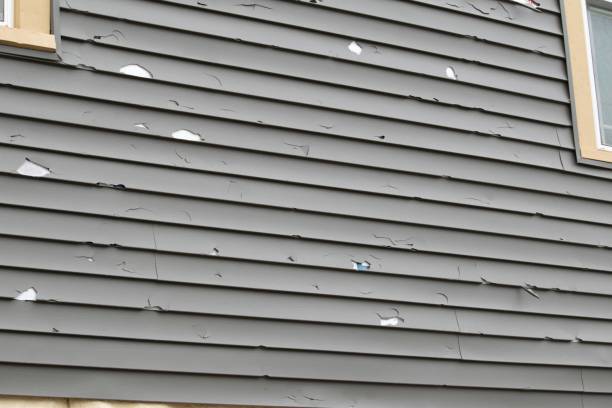 Best Shed Removal  in Tuskegee, AL